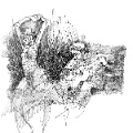 Don Art_screenview_1500dpi (205)_sm